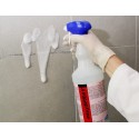 Sanitary Cleaner EasySpray