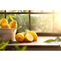 Aliejinis oro gaiviklis toiletOIL YUZU, Hagleinter