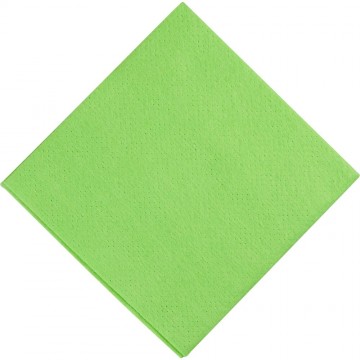 Multi-purpose cloth, 38x38cm, green, PP/viscose, perforated