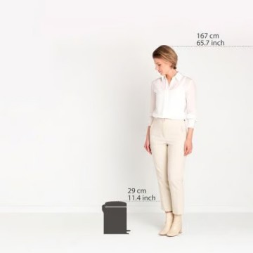 Šiukšlių dėžė Brilliant Steel 12 L, Brabantia