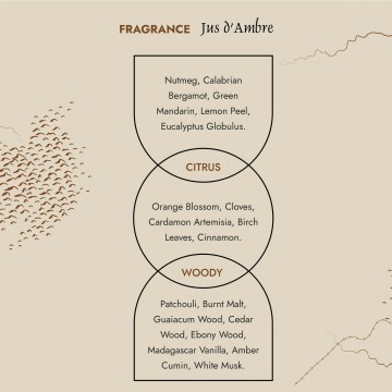 Prija Jus d’Ambre Eau De Toilette, 50 ml