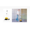 Dustpan set